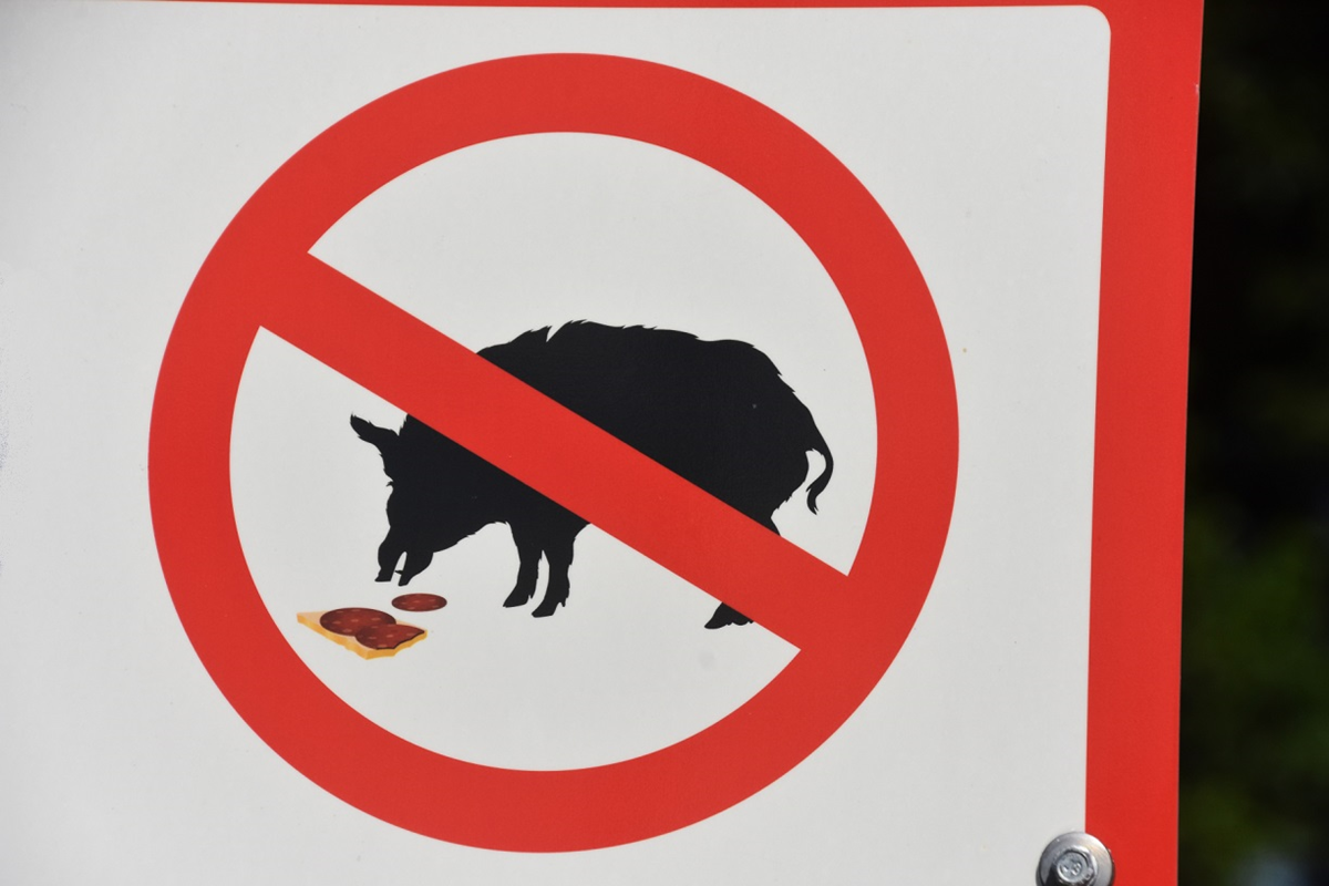 Bild på skylt för matningsförbud