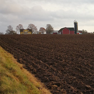 Åkermark med lantbruksfastighet i bakgrunden