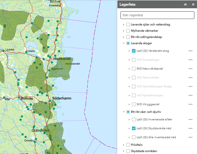 Bild som visar hur kartverktyget på Länsstyrelsen Gävleborgs ser ut.