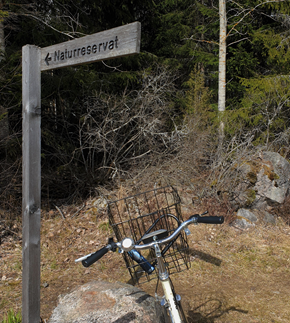 Cykel vid naturreservat med skog.