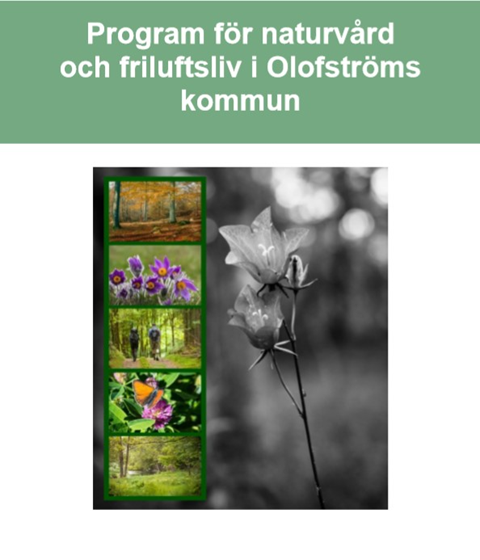 Framsida på rapporten Program för naturvård och friluftsliv i Olofströms kommun