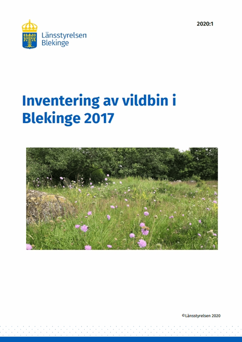 Framsida på rapporten Inventering av vildbin i Blekinge 2017