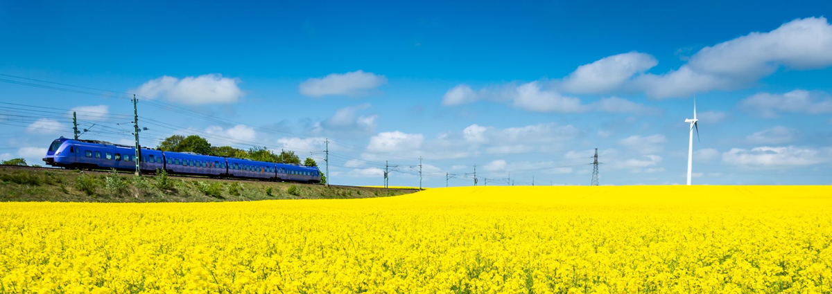 Rapsfält som lyser gult med tåg och vindkraft mot blå himmel i bakgrunden.