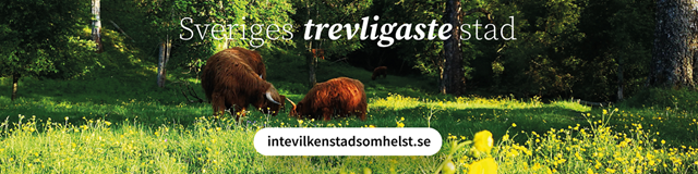 intevilkenstadsomhelst.se