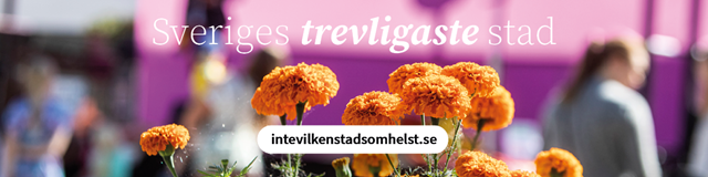 intevilkenstadsomhelst.se