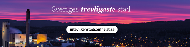 intevilkenstadsomhelst.se