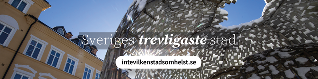 intevilkenstadsomhelst.se