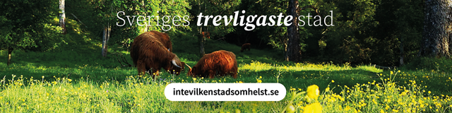 intevilkenstadsomhelst.se