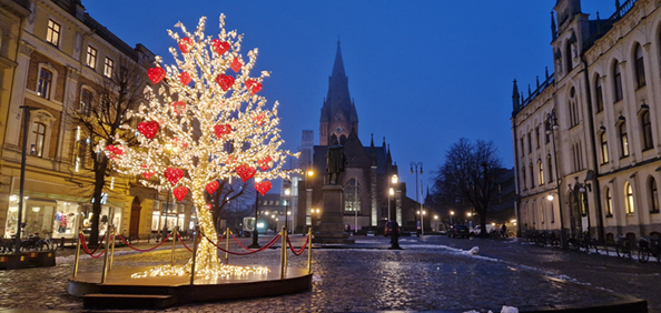 Tidig januarimorgon på stortorget med fokus på "kärlekensträd" och Nikolaikyrkan i bakgrunden.