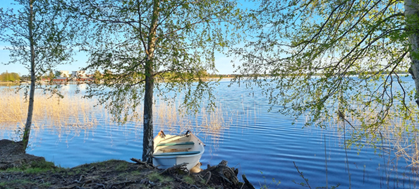 Några nyutslagna björkar på strandkanten framför en liten roddbåt som stilla ligger och guppar på den nästan helt stilla sjön och njuter av försommarsolen.