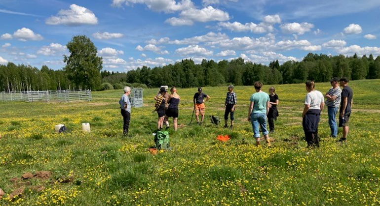 En grupp människor på en äng med gula växter.