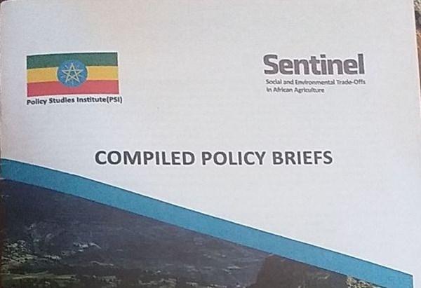 Policy briefs report