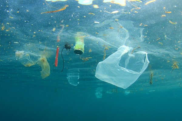 Plastic litter
